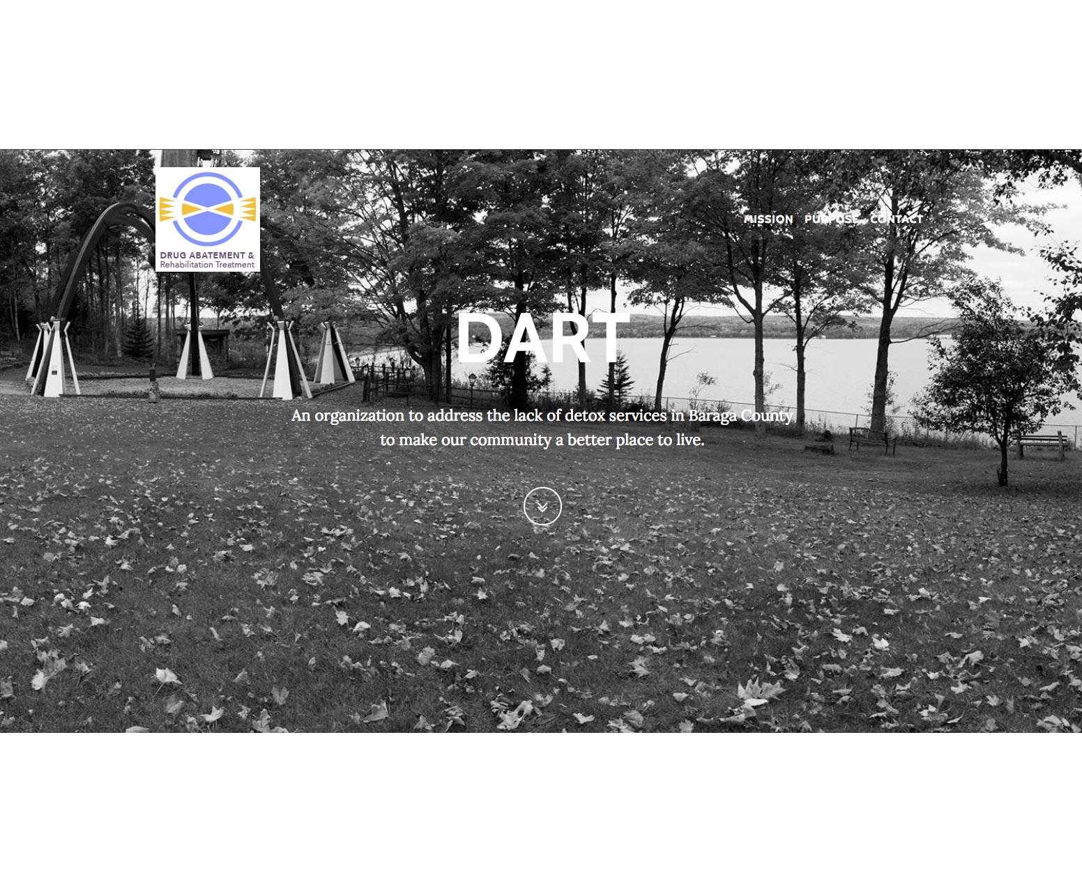 Superior Marketing Website Design for DART of Baraga County